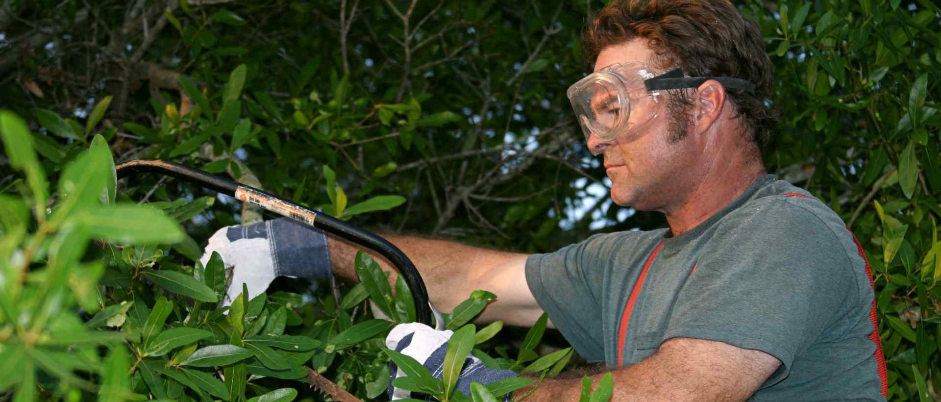 garden clearance TW10